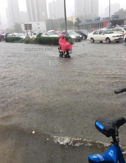 什么桥都敢堵？了解非法占道行为的严重性